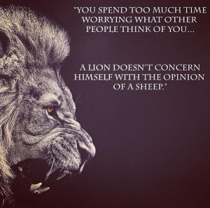 Lion's do not lose sleep over the opinion of sheep