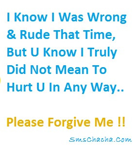 sorry sms message for hurting you