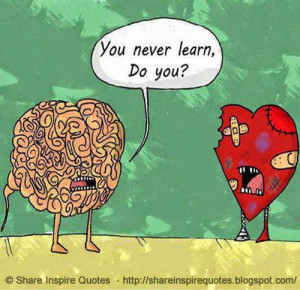 you heart vs brain share inspire quotes inspiring quotes love quotes
