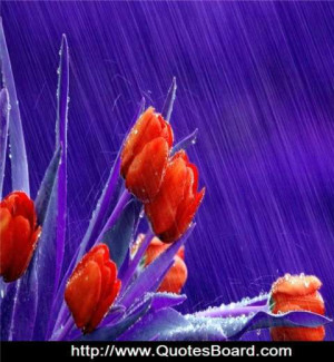 All the blood, sweat, and tears will be worth it when I get to spend ...