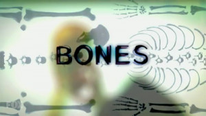 Fox Plan Spinoff To Hit Show Bones