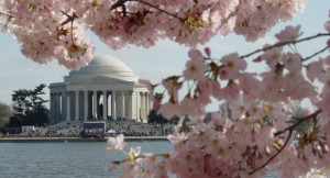 National Cherry Blossom Festival, Spring Festival in Washington DC ...