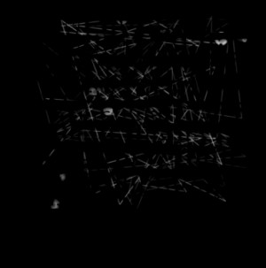 Many people say that nothing can be done. But I believe that things ...