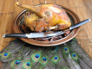 Kate Quinn's Blog: Ave Historia - The Blog Tour Begins! - August 05 ...