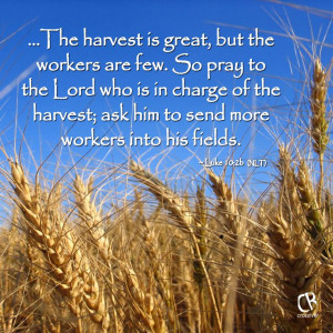 ... send more workers into his fields.~ Luke 10:2b (NLT) Bible verse