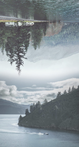 My upside down world