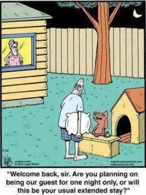 Funny Husband Dog House Hotel Cartoon - Welcome back, sir. Are you ...