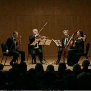 Related Pictures seuchen quartett teilig karten spielkarten ...