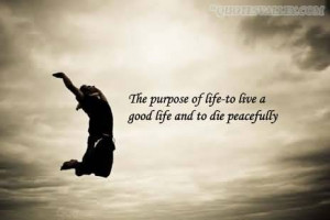 The Purpose Of Life To Live To Good Life And To Die Peacefully