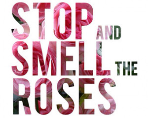 Stop and Smell the Roses Subway Art