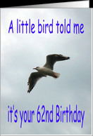 Happy 62nd Birthday Flying Seagull bird card - Product #673758
