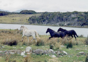 Funny Quotes Contact Us DMCA Notice