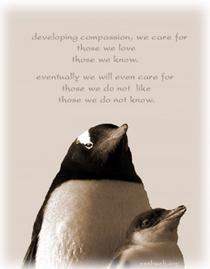 Compassion Quote picture - Developing compassion, we care for those we ...