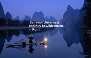 Sell your cleverness and buy bewilderment. ~ Rumi. #travel #quotes