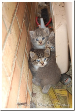 we must assume the worst