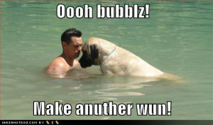 Philosophy & The Talented Doggie