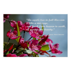 Apple Blossom Poster With Quote