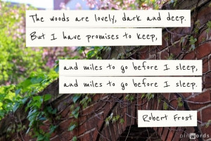 wise wise words by Robert Frost