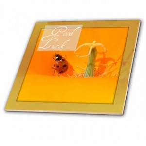 ... Sanders Flowers - Good Luck Ladybug in a Poppy Flowers Quotes - Tiles