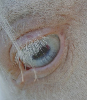 Discussions → Photo Association Games :-D [Updated]