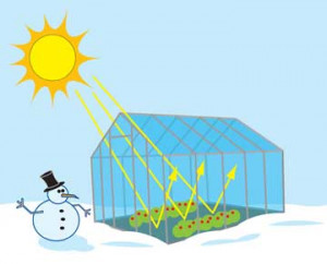 Real Greenhouse is unlike the Greenhouse effect theory!