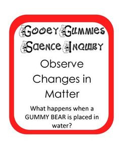 Gummy Bear Scientific Method Inquiry Experiment -explore changes in ...