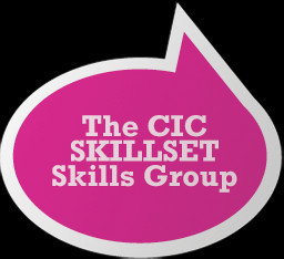 HOME THE CIC SKILLSET SKILLS GROUP THE BIG QUESTIONS THE REPORT BLOG