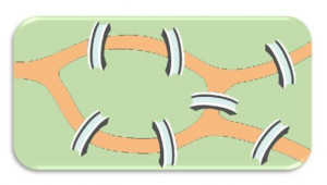 He had thirteen grandchildren and died while playing with a ...