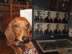 Picture of Fred Bastiat The Dachshund and Fred Bastiat The French ...