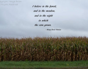 , Typography Nature Photog raph, Thoreau Quote, Farm, Rural, Country ...
