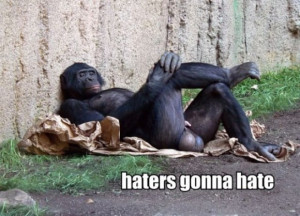 Haters gonna hate - Gorilla