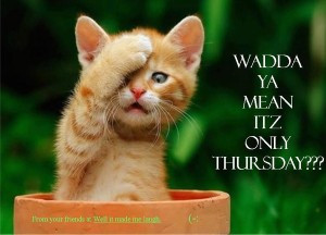 Yes Kitten it’s Thursday