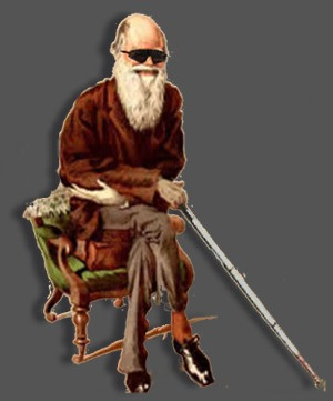 The s8intcom Blogger