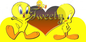 tweety bird pictures tweety bird pictures photos amp images