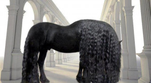 Do all horses’ manes grow this long? Wow!