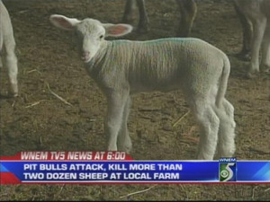 By advocating for these dogs, you are enabling them to keep on ...