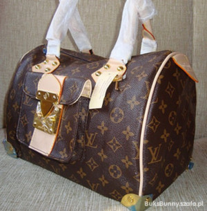 Louis Vuitton Page Images