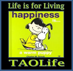 Peanuts Quotes About...