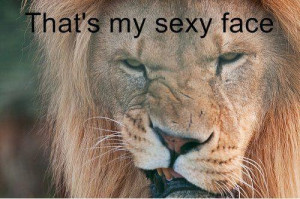 Sexy lion face
