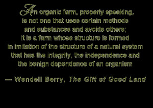 ... organic foods, including organic meat and organic vegetables, organic