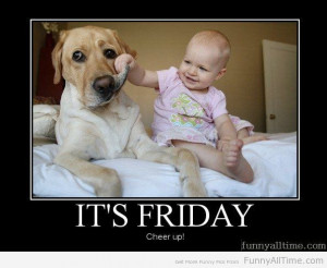 Previous Entry: I HOPE YOU WILL LIKE IT MR ORBAN Next Entry: WHEN YOU ...