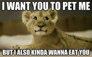 30 Funny animal captions - part 14 (30 pics), funny captioned pictures ...