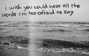 wish you could hear all the words i'm too afraid to say.