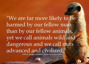 We are more likely to be harmed by our fellow man than by our fellow ...