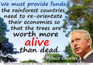 Rainforest Quotes Deforestation ~ Rain Forest - TIME - News, pictures ...