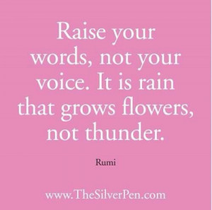 Raise your words not your voice
