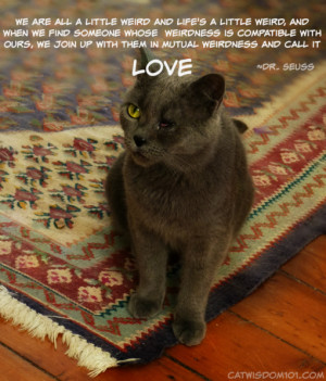 cat in the hat day-quote weirdness