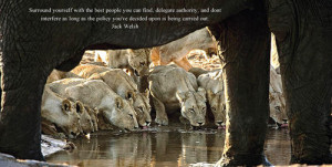 My Book by Brian Joffe - Inspirational Quotes & Images of Wildlife
