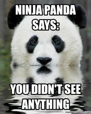 Ninja Panda - Words of Wisdom Mar 12 04:24 UTC 2012