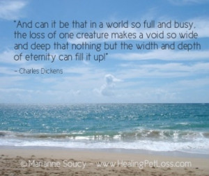 ... void so wide and deep.....Healing Pet Loss Quote - Charles Dickens